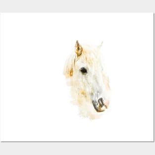 Icelandic Horse Sketch Art Posters and Art